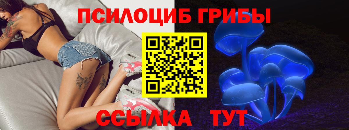 Урай  Галлюциногенные грибы Psilocybine cubensis  Псилоцибиновые грибы Psilocybine cubensis  Вход с VPN 